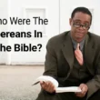 bereans in the bible